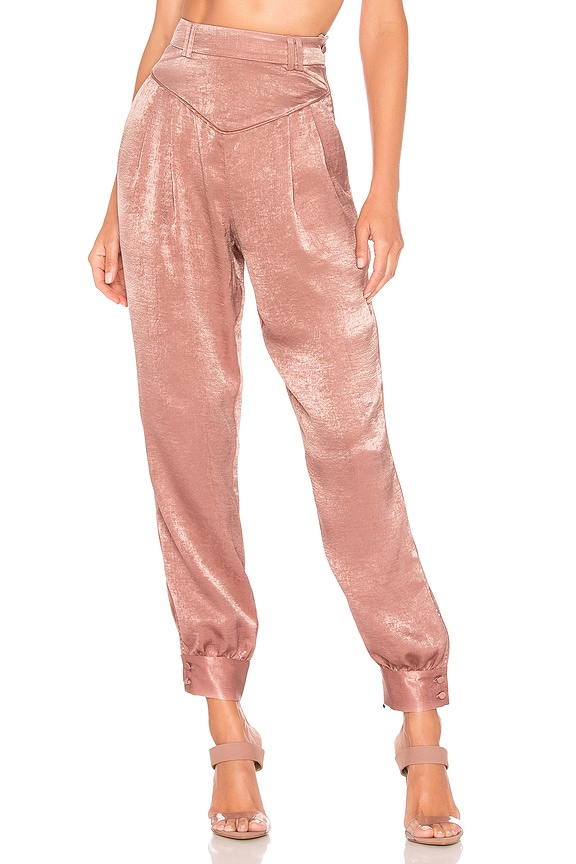 view 1 of 4 PANTALON CARLOTTA in Mauve