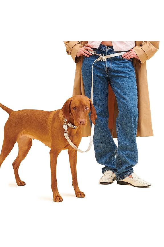 view 2 of 4 You Mean The World To Me Leash in Silver