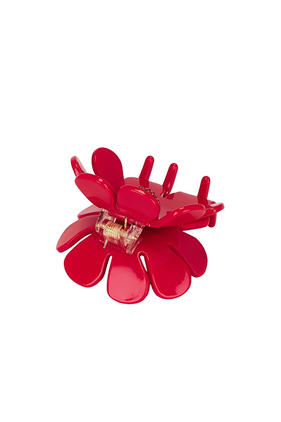 view 2 of 2 PINZA DAISY in Fire