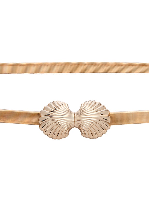 view 2 of 3 Sea Shell Stretch Chain Belt in Gold