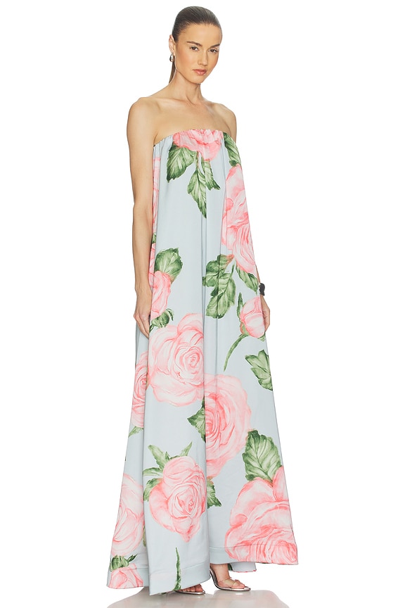 view 2 of 3 ROBE COSTIERA in Rose Garden