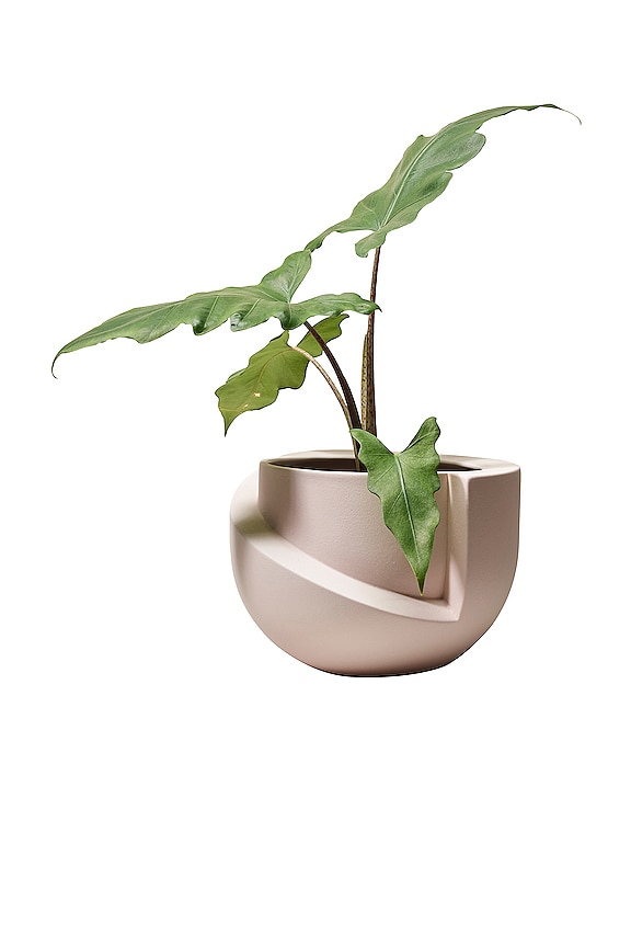 view 2 of 2 Vayu Planter in Blush