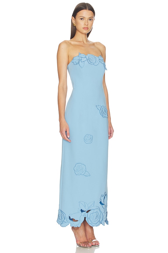 view 2 of 3 MAXIVESTIDO RAYNA APPLIQUE in Pastel Blue