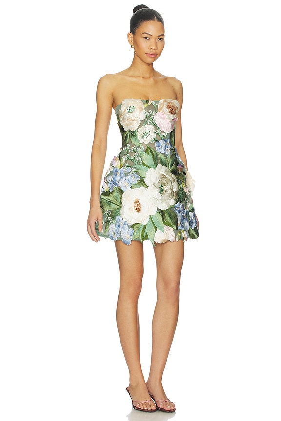 view 2 of 4 Roselle Floral Hand-embroidered Bustier Mini Dress in Blossom