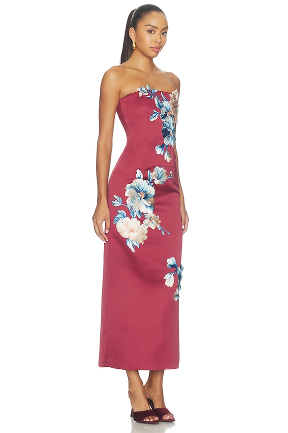 view 2 of 5 Rayna Embroidered Maxi Dress in Cosmos Print