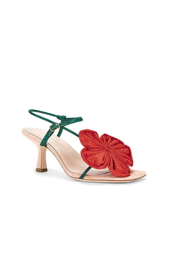 view 2 of 5 Frank Flower Applique Heeled Sandal in Nude, Green & Red