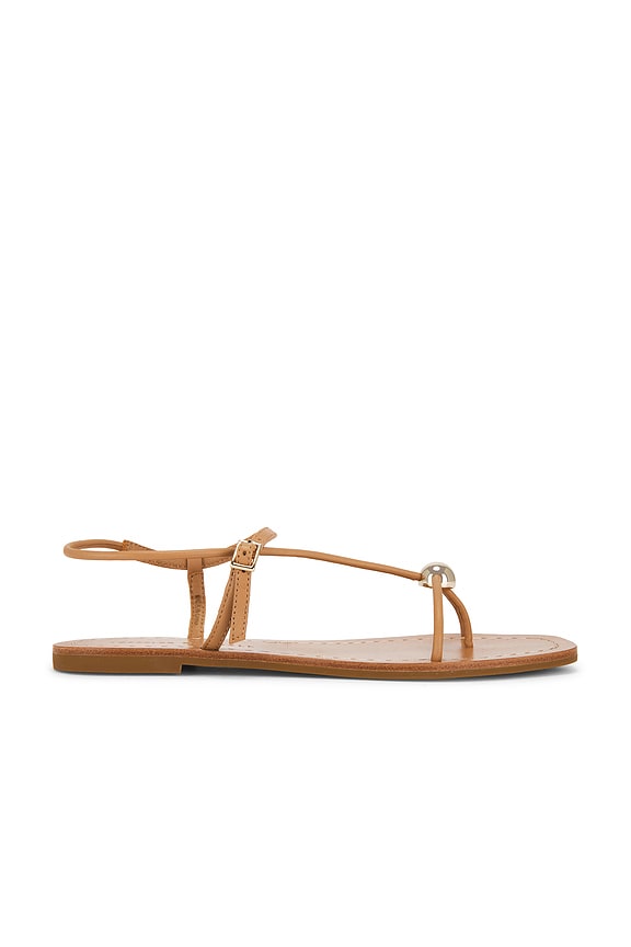 view 1 of 5 Lara Strappy Flat Sandal in Dune Nappa