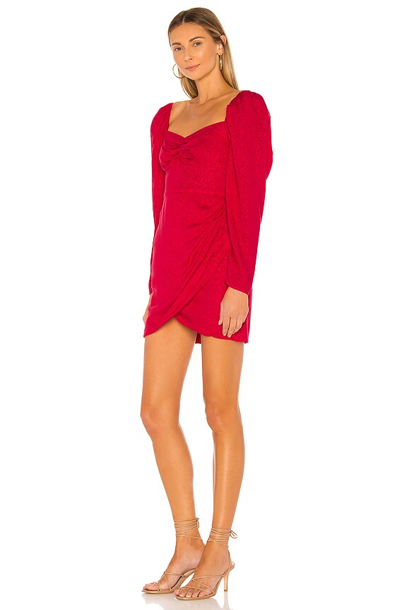 view 2 of 4 Devan Mini Dress in Leopard Red