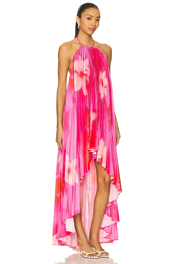 view 2 of 4 Gia Maxi Dress in Pink Floral Multi