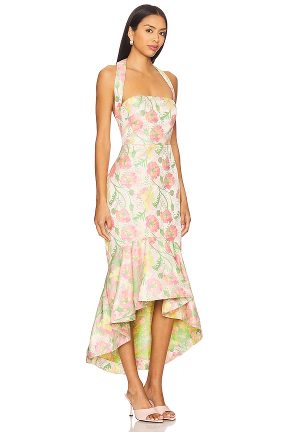 view 2 of 3 Ivy Maxi Dress in Pink And Green Multi