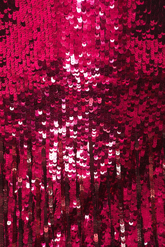 Isabetta Sequin Fringe Mini Dress