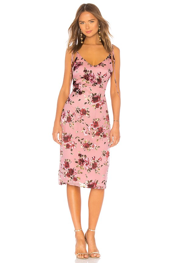 view 2 of 4 Tie Back Tank Dress in Roses On Rose