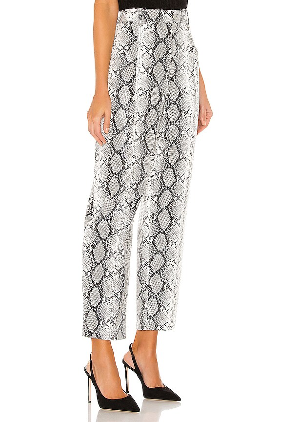 view 2 of 4 PANTALON MARCO in Snake