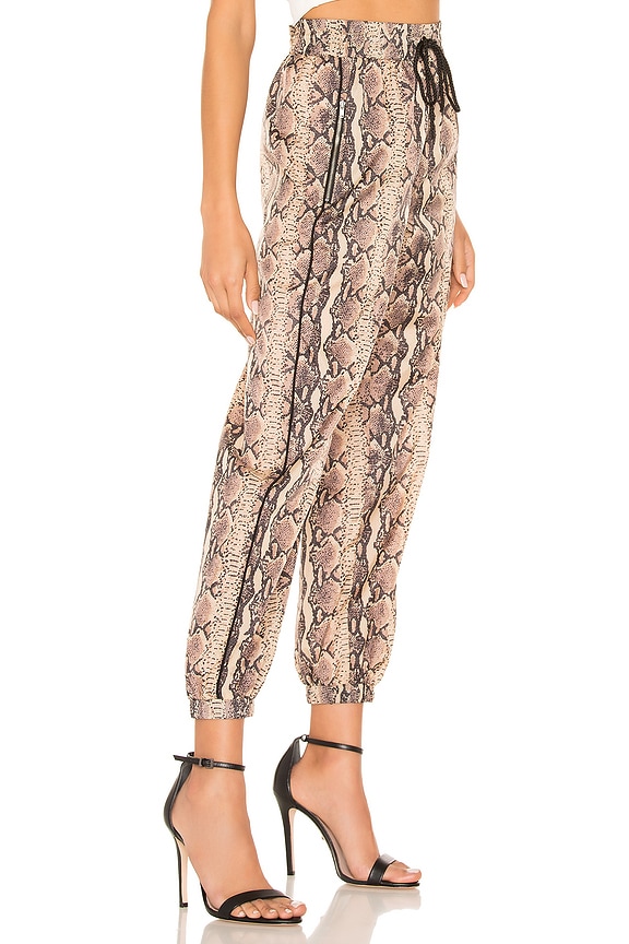 view 2 of 4 Track Jogger in Tan Snake & Black