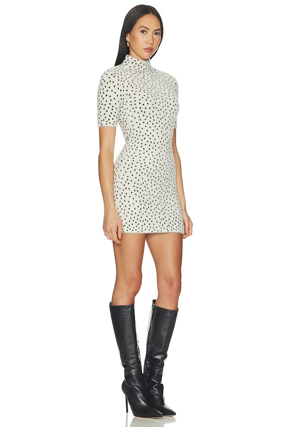 view 2 of 4 Jacquelynne Leopard Mini Dress in Light Leopard