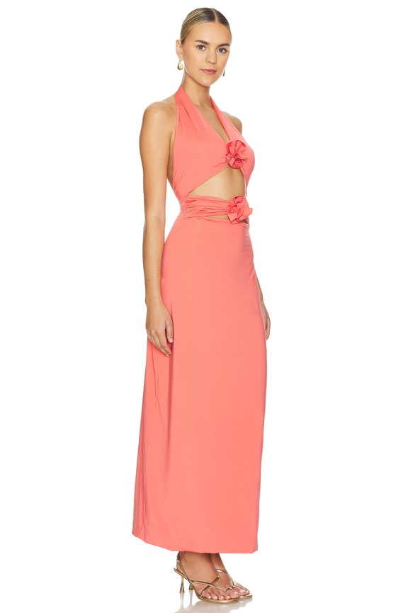 view 2 of 3 Vaupes Dress in Tropical Pink