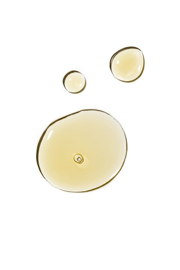 view 2 of 8 Algae + Moringa Universal Face Oil in 
