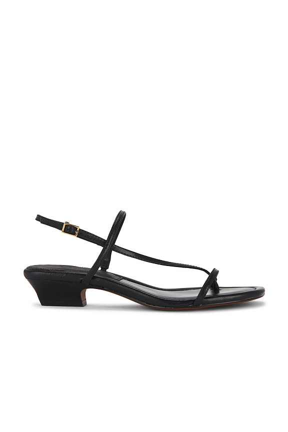 view 1 of 5 Tonio Strappy Sandal in True Black