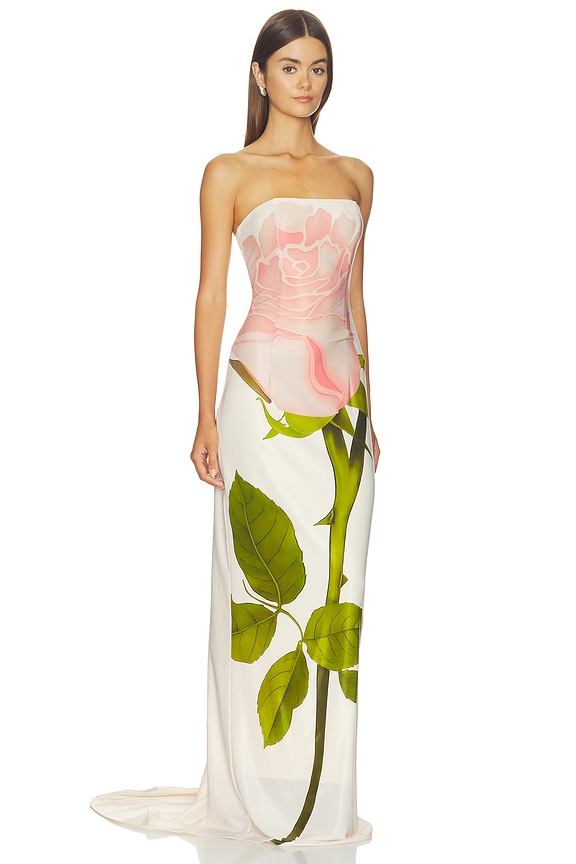 view 2 of 3 Amaya Printed Dress in Powder