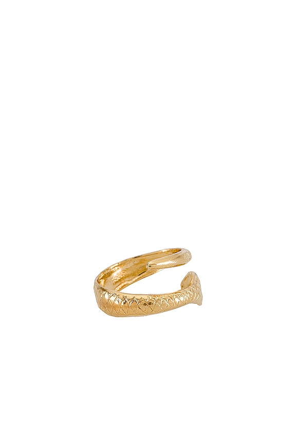 view 2 of 3 Cobra Ring in Gold