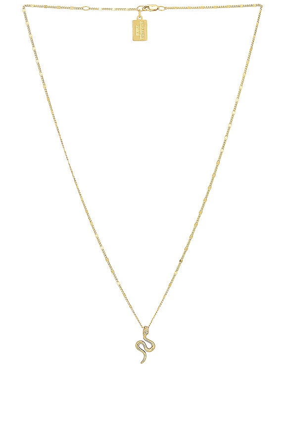 view 1 of 2 Snake Charm and Marlowe Chain Necklace in Gold