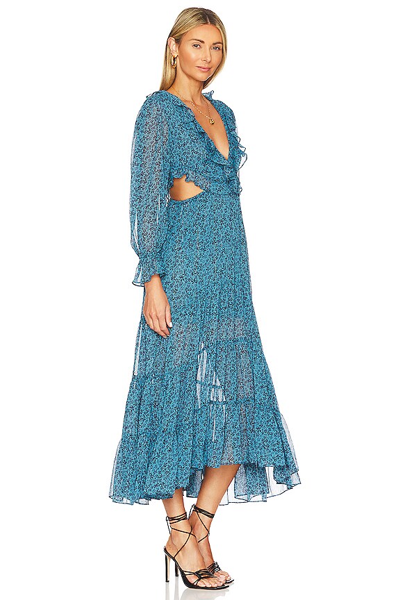 view 2 of 4 Amelia Dress in Cerulean Ditzy