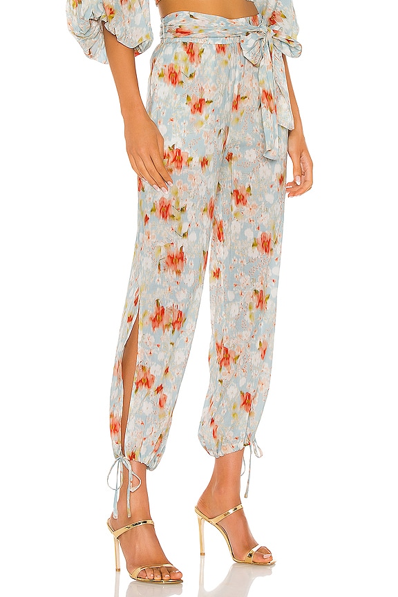 view 2 of 4 Elia Pants in Daydream Floral