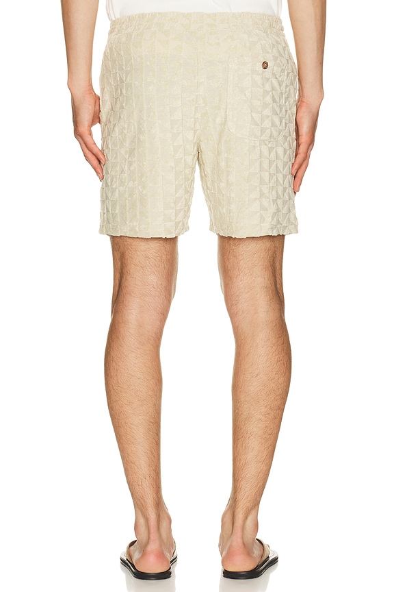 view 2 of 5 Leo Terry Short in Natural Geo