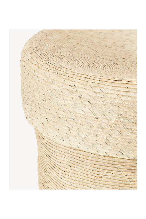 view 2 of 3 PANIER PALM in 
