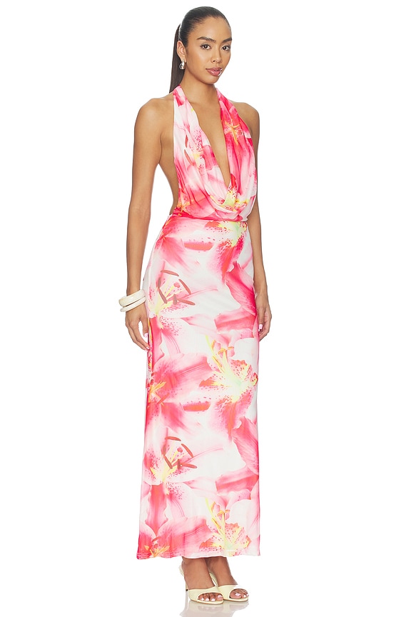 view 2 of 3 Desdemona Maxi Dress in Pink Floral