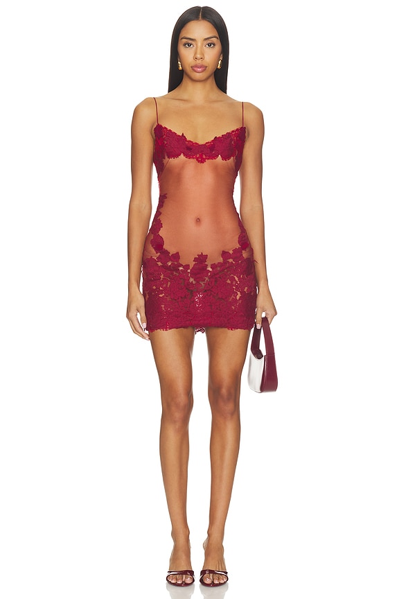 view 2 of 5 Anemone Mini Dress in Sangre