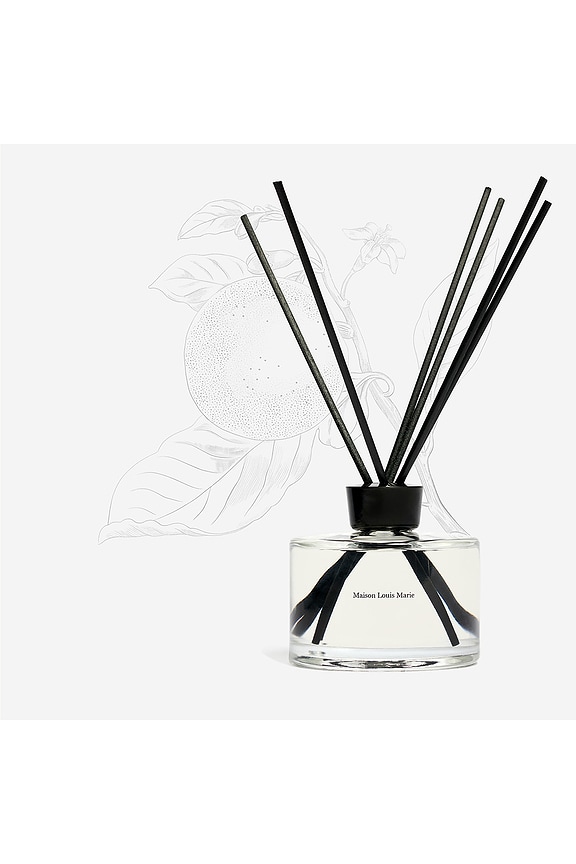 view 2 of 2 DIFFUSEUR in 