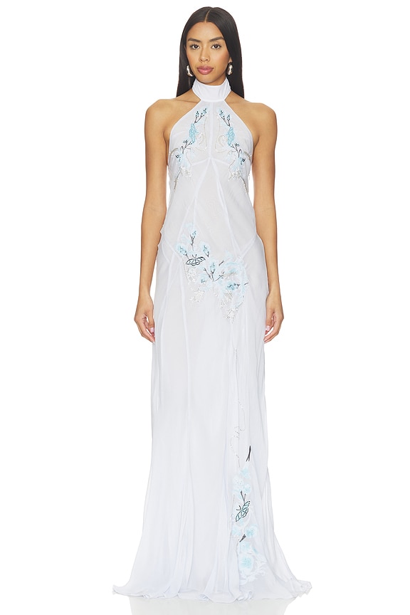 view 1 of 4 Blue Vine Embroidered Belmira Dress in Blue