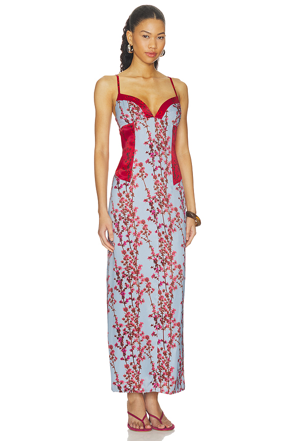 view 2 of 4 Sakura Mixed Celine Dress in Multi