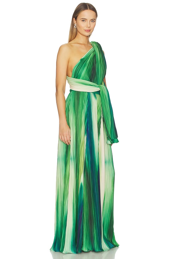 view 2 of 5 Affluent Maxi Dress in River Print