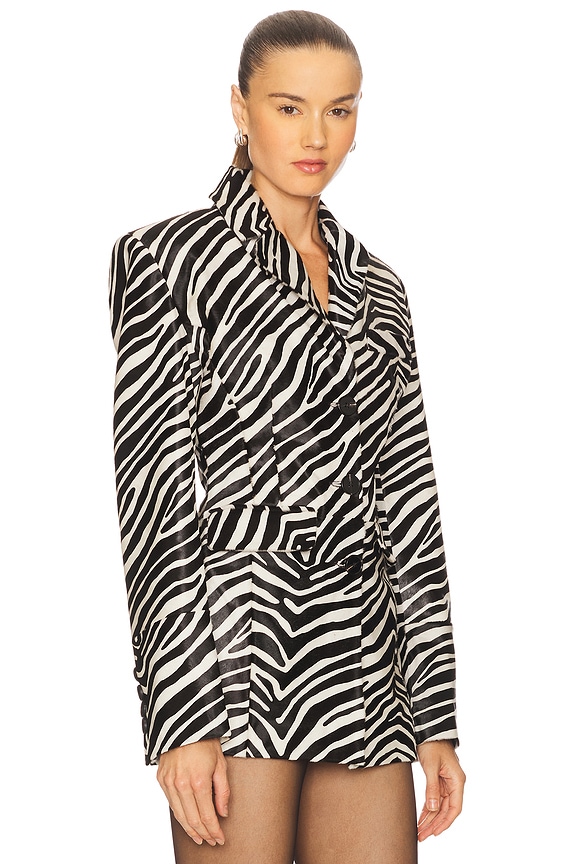 view 2 of 4 CHAQUETA MAYA in Zebra Jasper