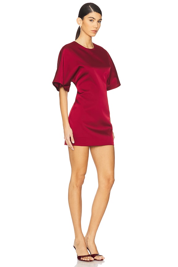 view 2 of 3 Dakota Mini Dress in Oxblood