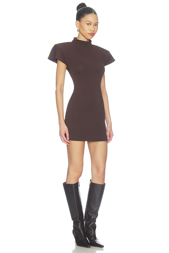 view 2 of 3 Dalia Mini Dress in Brown