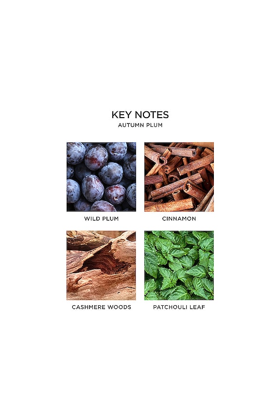 view 2 of 6 Autumn Plum Reed Diffuser in 