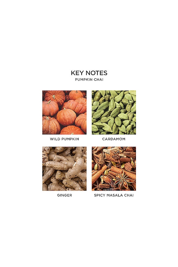 view 2 of 3 DIFFUSEUR PUMPKIN CHAI REED DIFFUSER in 