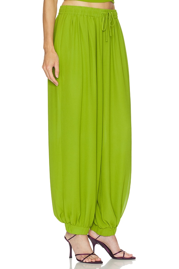view 2 of 6 Liselle Pant in Leaf