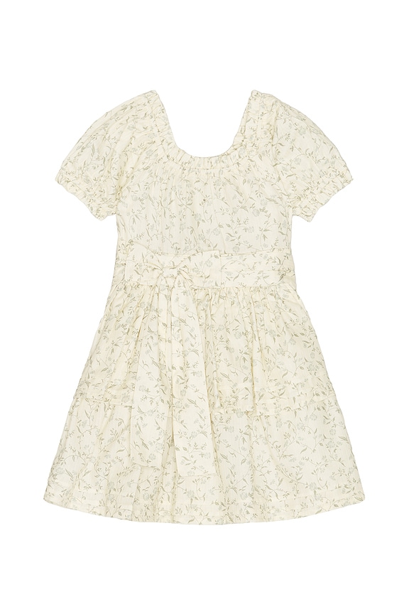 view 1 of 2 Annette Dress in Vines