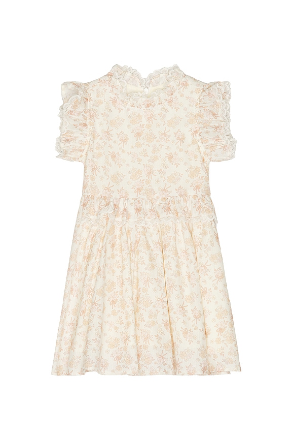 view 1 of 5 Alice Dress in Ivory