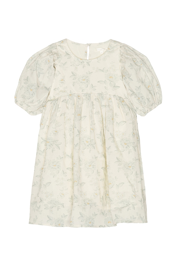 view 1 of 5 Luna Dress in Mist English Rose