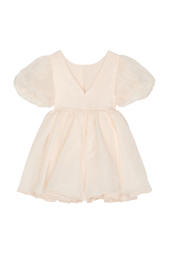 view 2 of 4 Sofia Dress in Blush