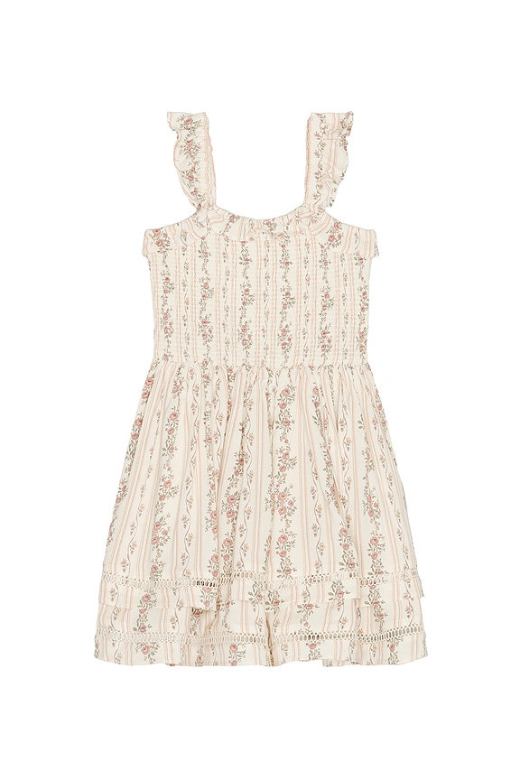 view 1 of 2 Birdie Dress in Spring Floral Stripe