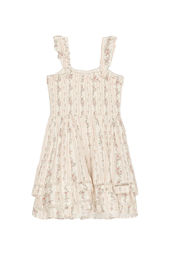 view 2 of 2 Birdie Dress in Spring Floral Stripe