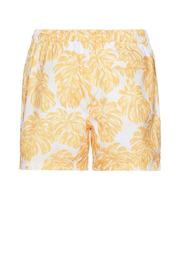 view 2 of 6 スイミングトランク in Jurassic Gold