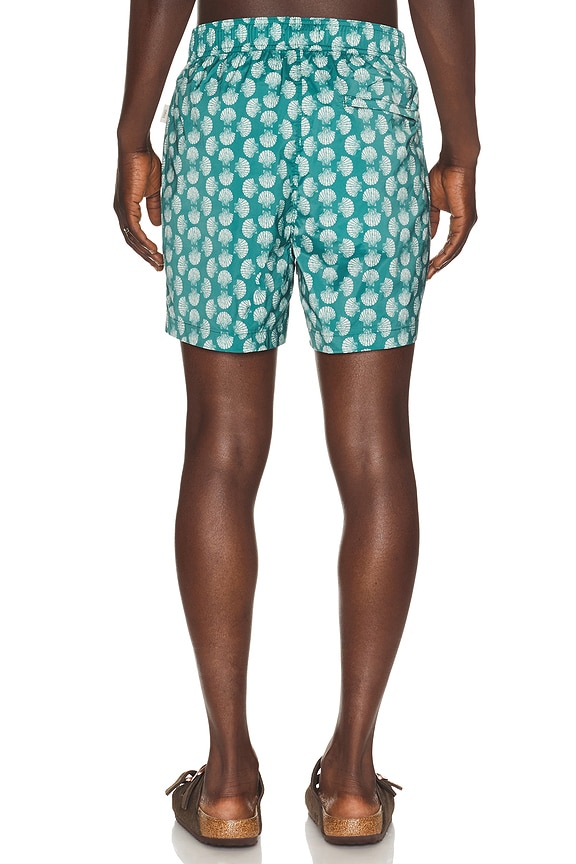 view 2 of 4 BAÑADOR CHARLES in Aloe Multi