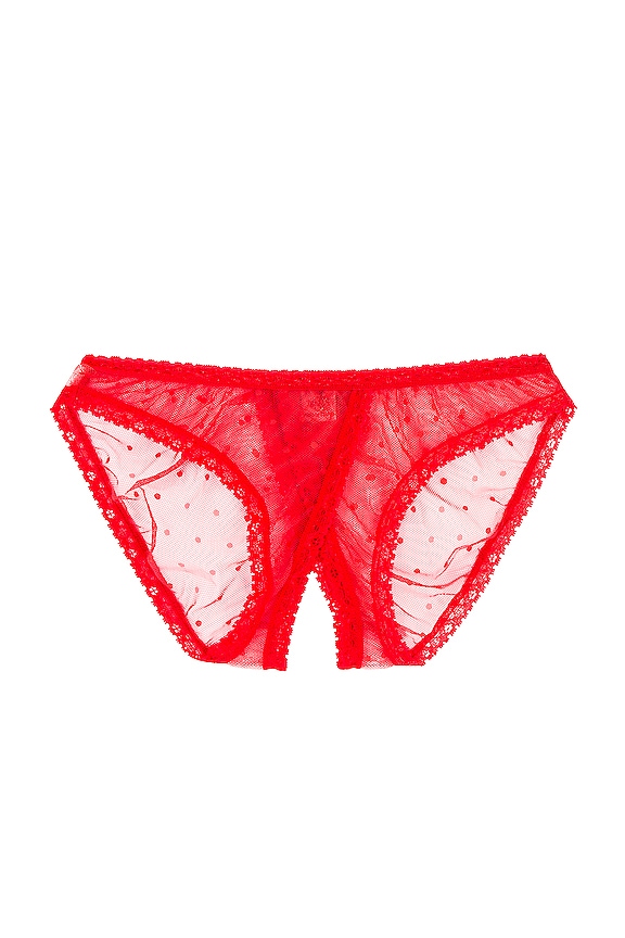 Only Hearts Coucou Culotte Underwear in Poppy | REVOLVE